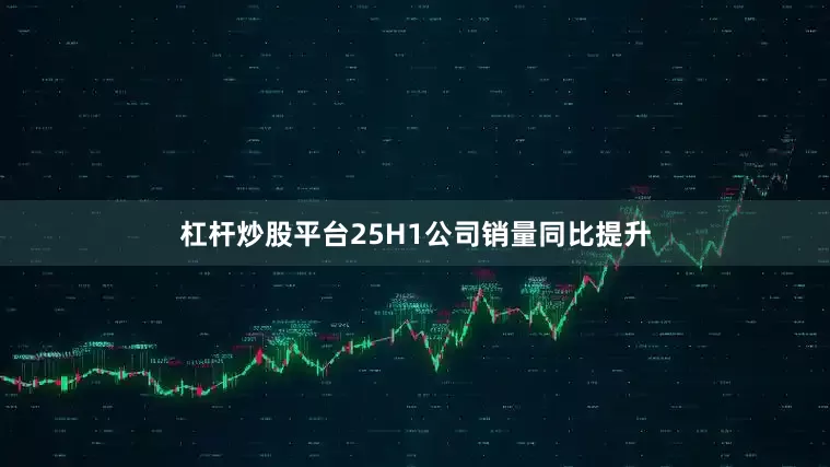 杠杆炒股平台25H1公司销量同比提升