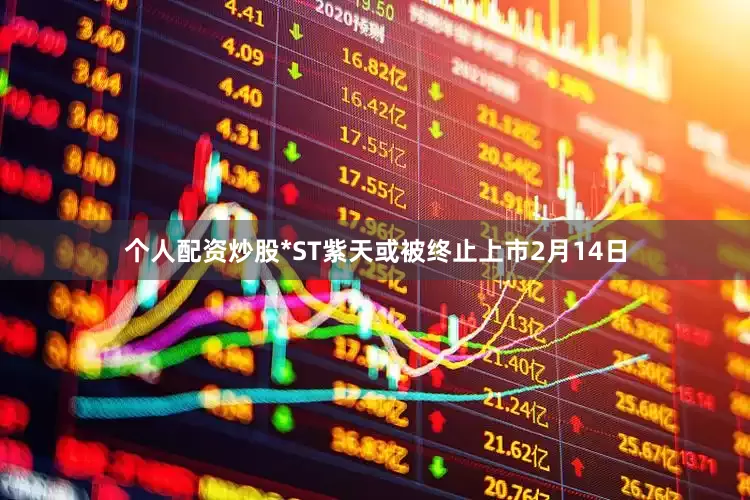 个人配资炒股　　*ST紫天或被终止上市　　2月14日