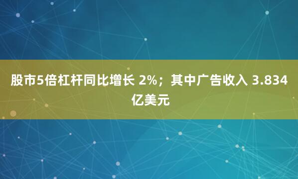 股市5倍杠杆同比增长 2%；其中广告收入 3.834 亿美元